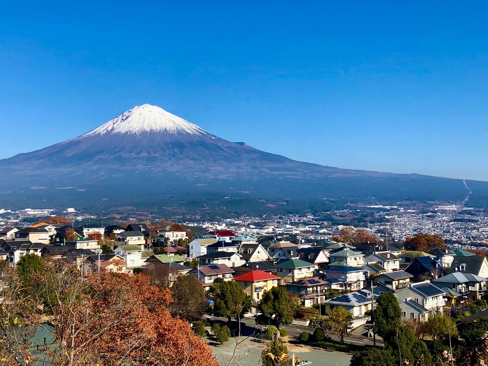 青木平からの富士山